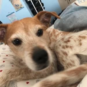 Meet your Posher, Sandra